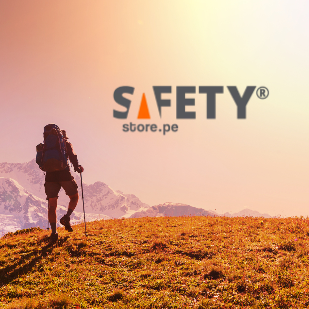 Plan de Marketing Digital Safety Store