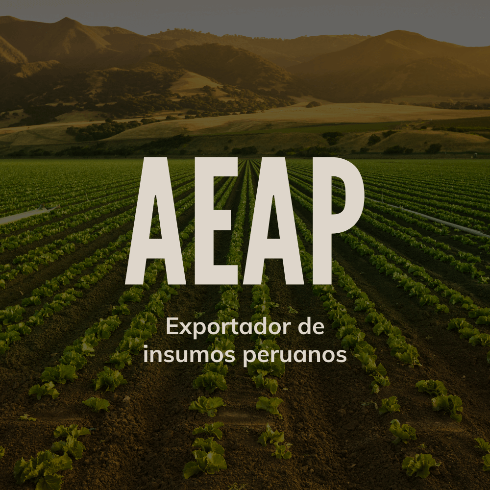 Del Perú para el mundo