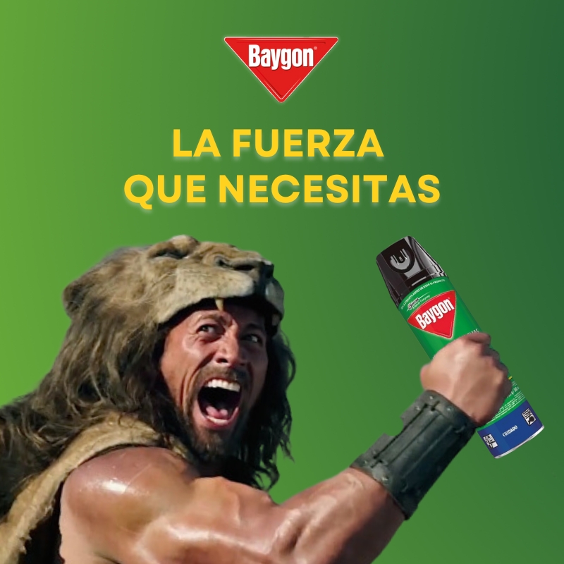BAYGON: La fuerza que necesitas