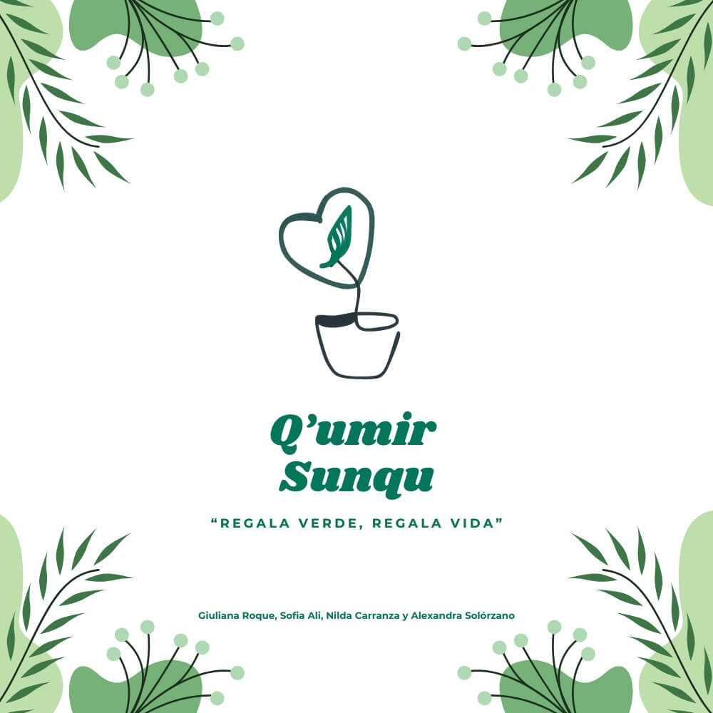 Q'umir Sunqu: Plan de Marketing