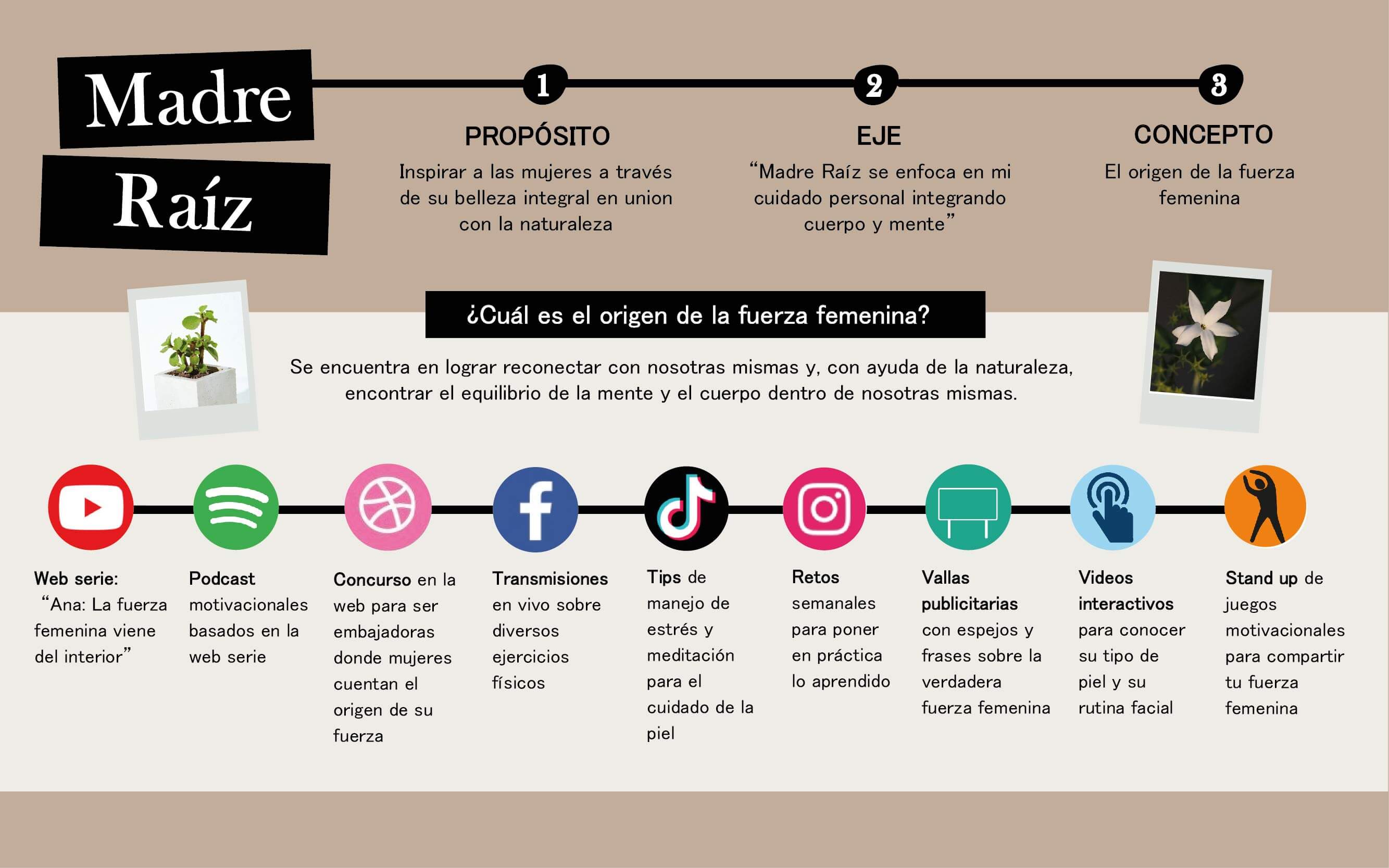 6146d1a2205ddae2c1324d0b_Madre%20raiz%20-%20Infografia%20resumen.jpg