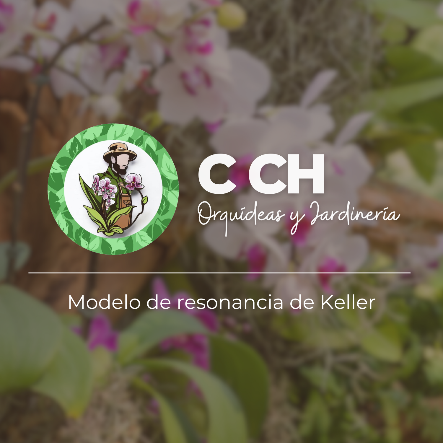 Pirámide de Keller para el posicionamiento de la marca "CCH Orquídeas"