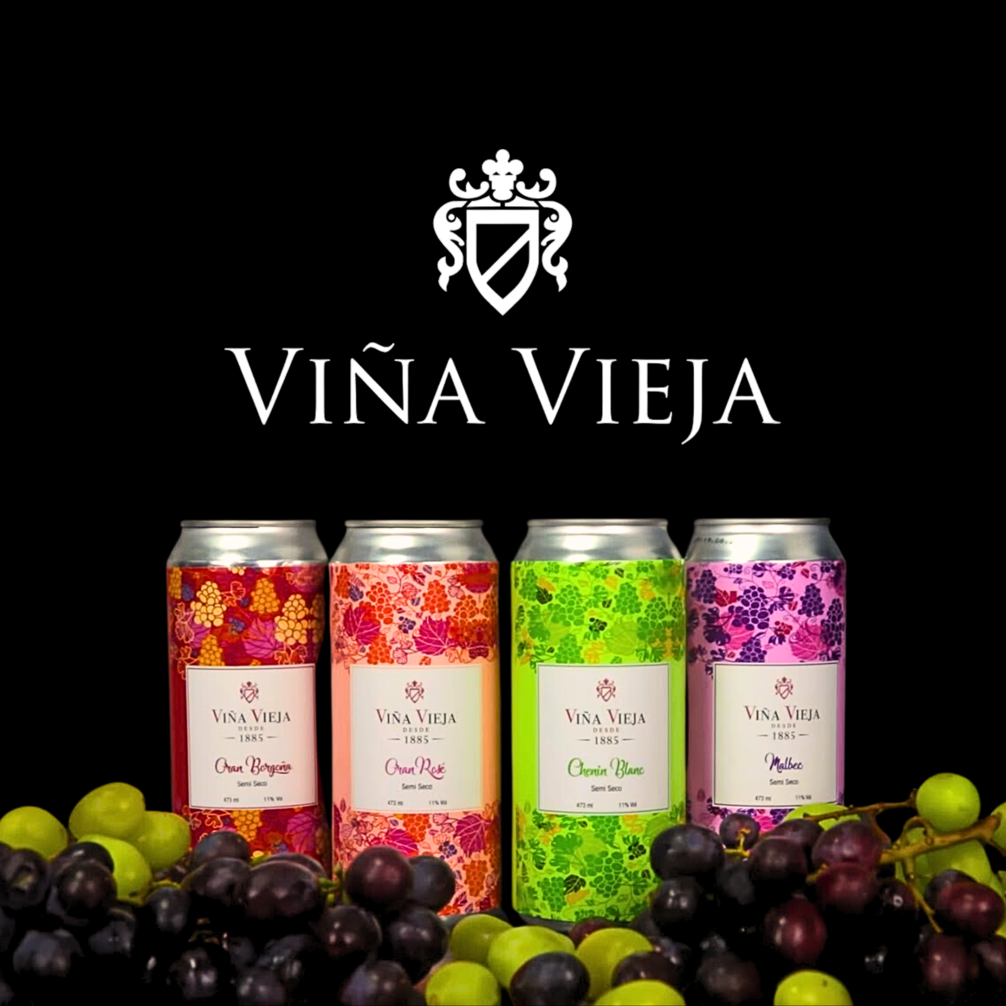 Viña Vieja: Compartir momentos de celebración