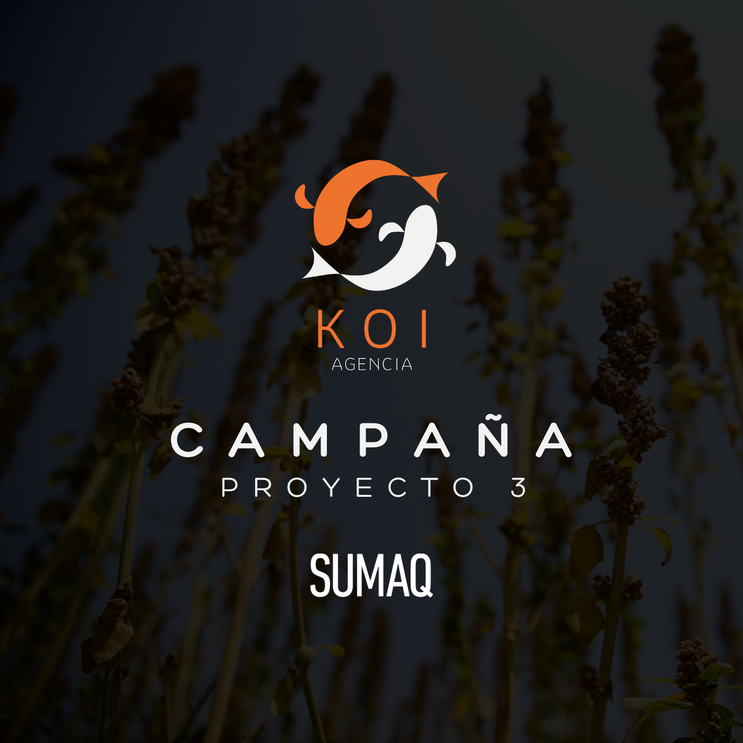 Proyecto 3: Campaña Sumaq