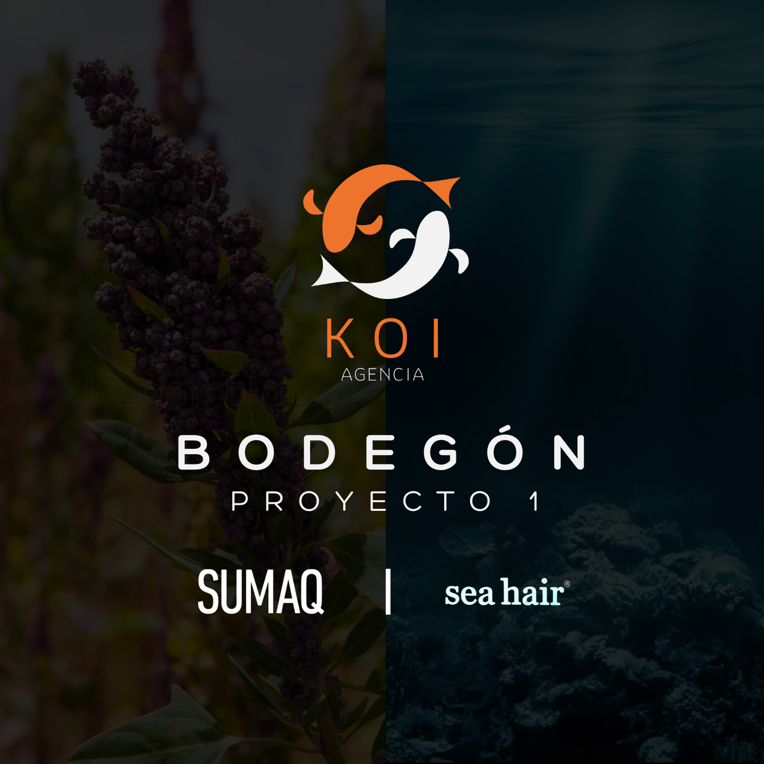 Proyecto 1: Bodegón