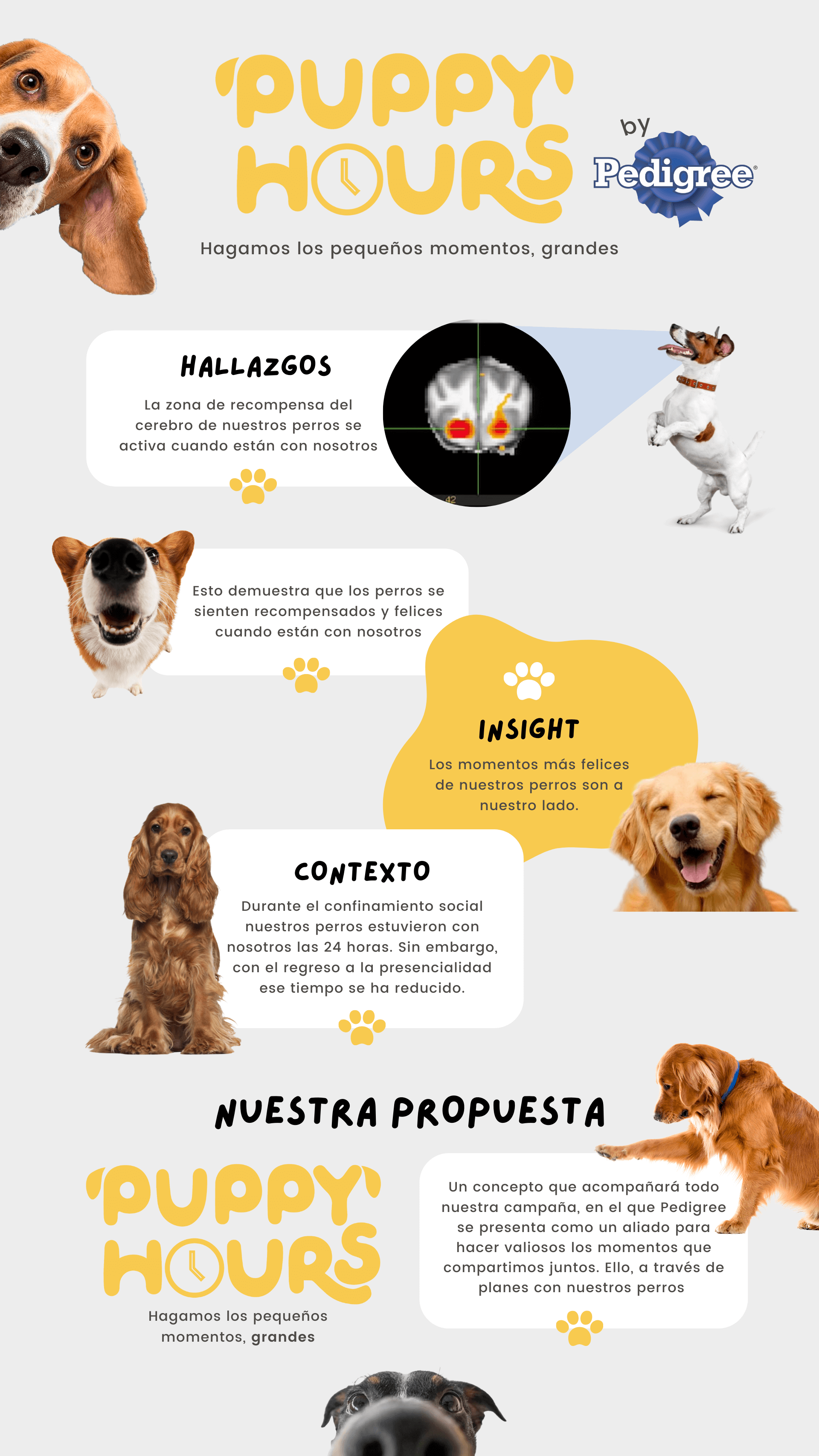 626988ba2b48d15da0e10725_Infograf%C3%ADa%20-%20Puppy%20Hours.png